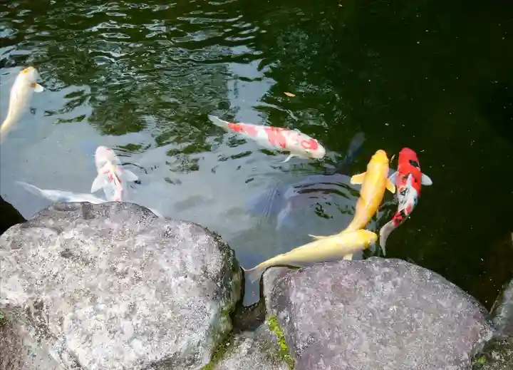 火男火賣神社(下宮)(大分県)