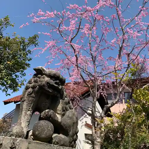 豊景神社の狛犬