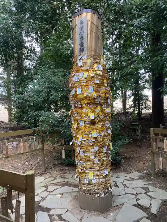 下野 星宮神社(栃木県)