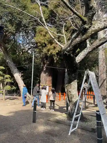 息栖神社(茨城県)