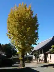 神泉寺(愛知県)