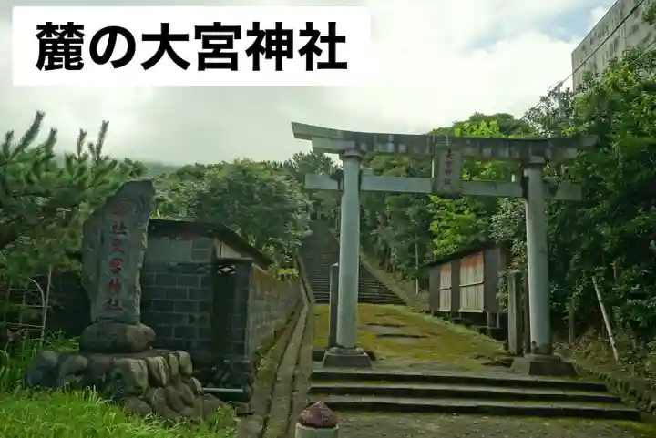 大宮神社(東京都)