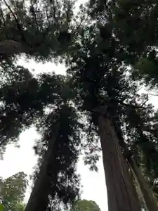 大宮温泉神社(栃木県)(2023年05月24日(水) 07時40分17秒投稿)