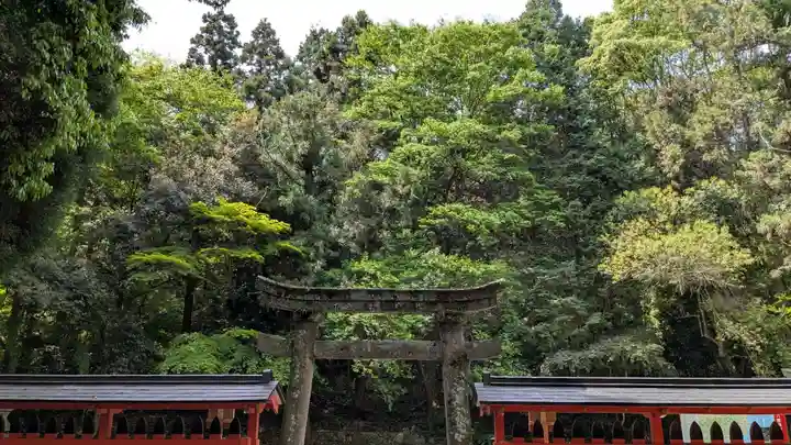 宇佐宮弥勒寺跡の鳥居