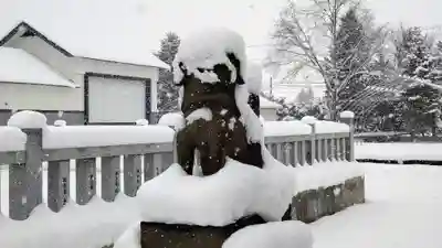 美瑛神社の狛犬