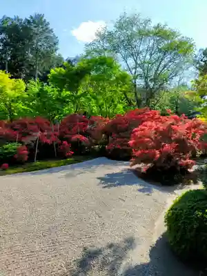曼殊院門跡(京都府)