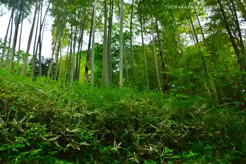 円覚寺(神奈川県)