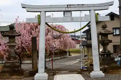 熊野福藏神社の鳥居