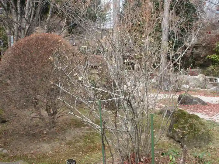 長泉院(埼玉県)