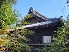 寛永寺(根本中堂)の本殿