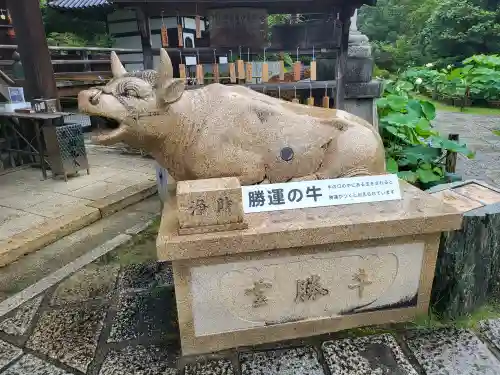 三室戸寺(京都府)