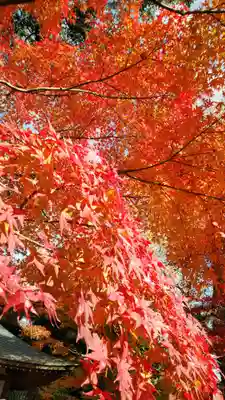 長谷寺(神奈川県)