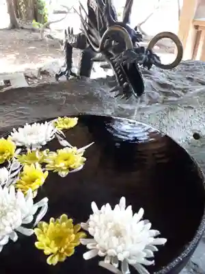 琴似神社の手水舎