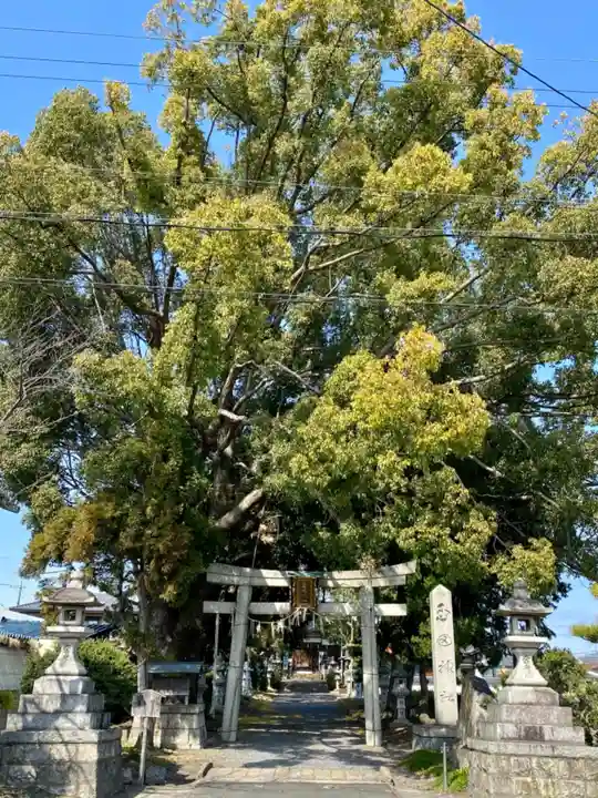 玉田神社の自然