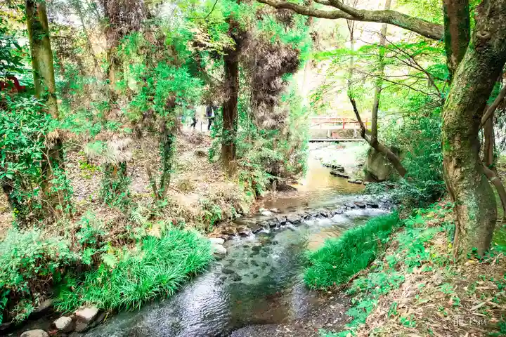 白川吉見神社(熊本県)