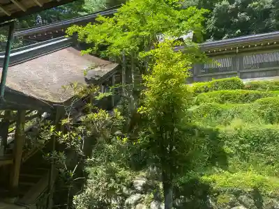 丹生川上神社(中社)(奈良県)