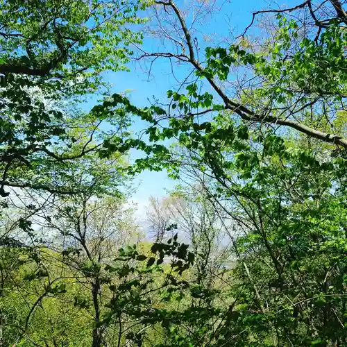 壽徳寺 じゅとくじの自然