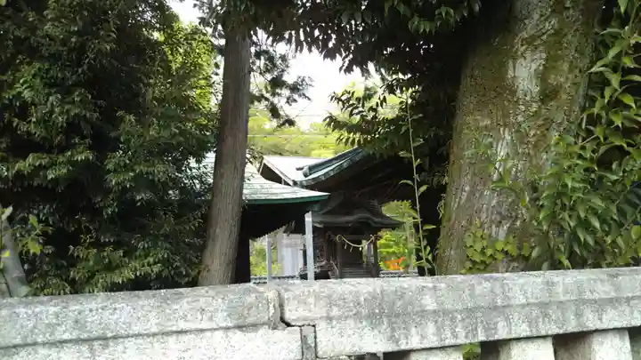 八雲神社 (通五丁目)の本殿・本堂