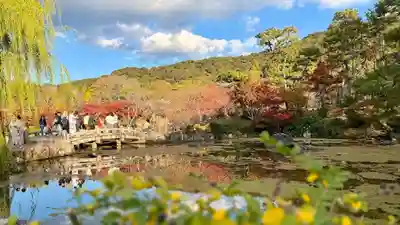 八坂神社(祇園さん)(京都府)