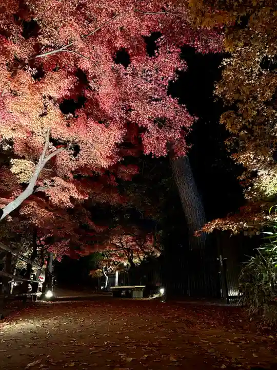 北野天満宮(京都府)