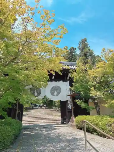 光明寺（粟生光明寺）(京都府)