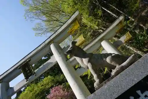 三峯神社の狛犬