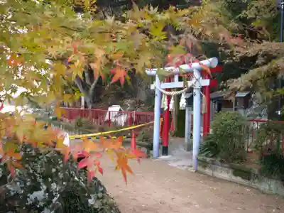 藤ヶ崎龍神社の鳥居