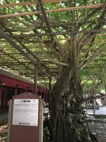 笠間稲荷神社の庭園