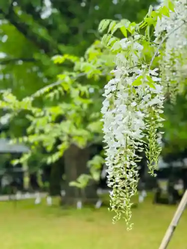 守りの神　藤基神社(新潟県)