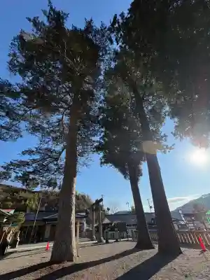 小鎚神社(岩手県)