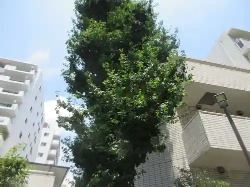 高輪神社(東京都)