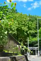 杉山神社(神奈川県)