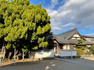 常楽寺(兵庫県)