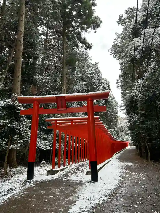 美濃國一宮 南宮大社の{uncategorized: "未分類", other: "その他", undefined: "問題あり", building: "その他建物", grave: "お墓", sacred_gate: "鳥居", guardian: "狛犬", statue: "像", buddha: "仏像", history: "歴史", nature: "自然", garden: "庭園", animal: "動物", pagoda: "塔", temizu: "手水舎", mountain_gate: "山門・神門", sanctuary: "本殿・本堂", subordinate: "末社・摂社", art: "芸術", scenery: "景色", jizo: "地蔵", ema: "絵馬", goshuin: "御朱印", omikuji: "おみくじ", items: "授与品その他", amulet: "お守り", goshuincho: "御朱印帳", eats: "食事", festival: "お祭り", votive_dance: "神楽", shichigosan: "七五三参", wedding: "結婚式", experience: "体験その他", initially: "初詣", around: "周辺", anti_infection: "感染症対策"}