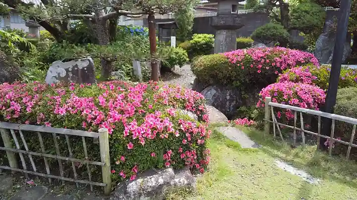 圓照寺の庭園
