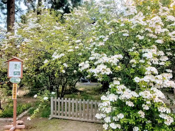 唐招提寺の庭園