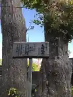 御霊神社(神奈川県)