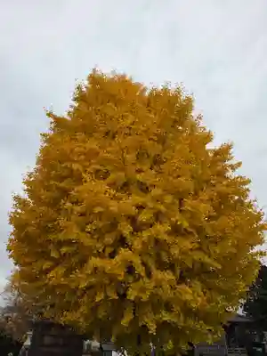 神明宮(栃木県)