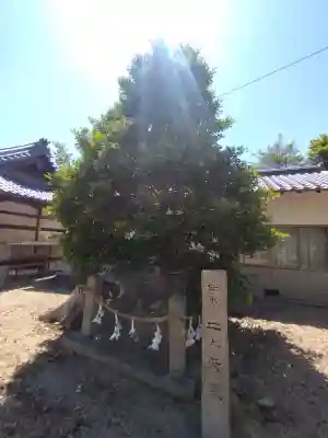 矢田坐久志玉比古神社の{uncategorized: "未分類", other: "その他", undefined: "問題あり", building: "その他建物", grave: "お墓", sacred_gate: "鳥居", guardian: "狛犬", statue: "像", buddha: "仏像", history: "歴史", nature: "自然", garden: "庭園", animal: "動物", pagoda: "塔", temizu: "手水舎", mountain_gate: "山門・神門", sanctuary: "本殿・本堂", subordinate: "末社・摂社", art: "芸術", scenery: "景色", jizo: "地蔵", ema: "絵馬", goshuin: "御朱印", omikuji: "おみくじ", items: "授与品その他", amulet: "お守り", goshuincho: "御朱印帳", eats: "食事", festival: "お祭り", votive_dance: "神楽", shichigosan: "七五三参", wedding: "結婚式", experience: "体験その他", initially: "初詣", around: "周辺", anti_infection: "感染症対策"}