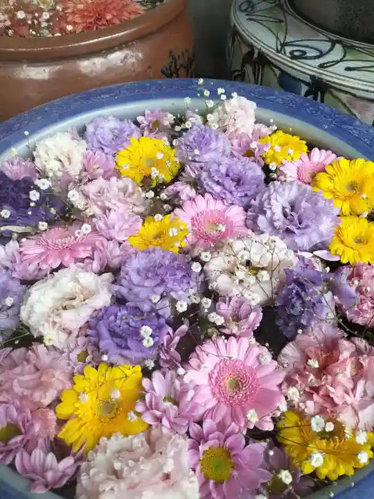 多賀神社の手水舎