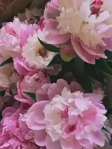 滑川神社 - 仕事と子どもの守り神(福島県)(2025年06月02日(月) 08時17分40秒投稿)