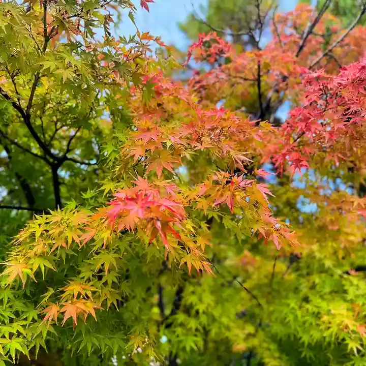 伊勢の国 四天王寺(三重県)