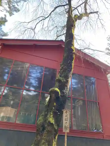 日光二荒山神社(栃木県)