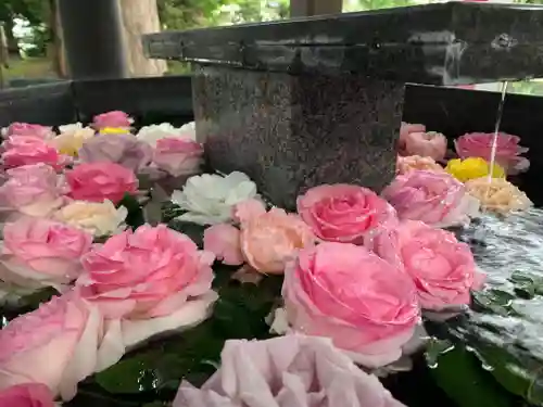 新琴似神社の手水舎