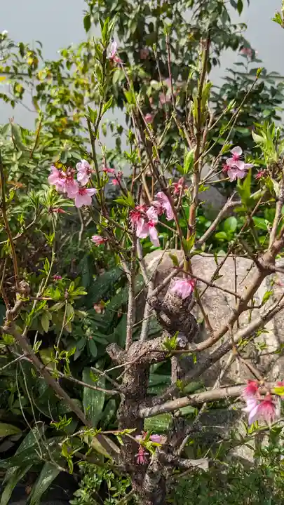 福田寺(京都府)