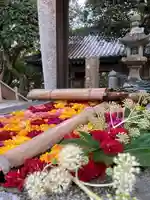 福良八幡神社(兵庫県)