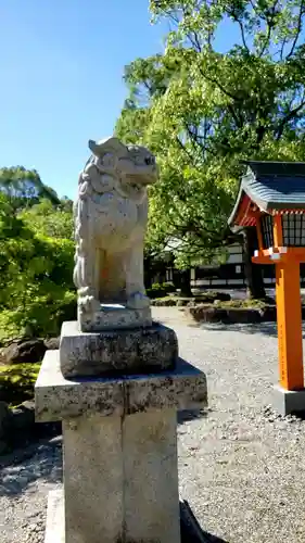 龍宮住吉本宮の狛犬