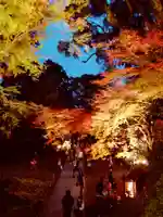 大興善寺の景色