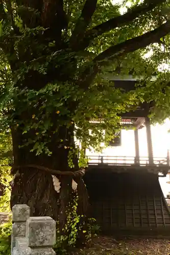 北向観音(長野県)