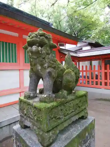 住吉神社の狛犬